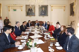 Talks between Party General Secretary and State President To Lam and Irish President Michael D. Higgins. (Photo: VNA)