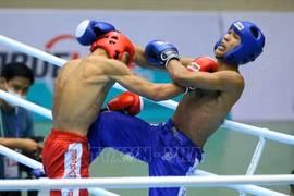 Vietnam will send 32 fighters to the Asian Kickboxing Championships, scheduled to be held in Cambodia from October 4 to 10, (Photo: VNA)