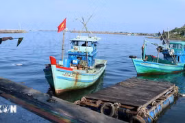 Illustrative image (Photo: VNA)