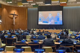 Ambassador Dang Hoang Giang, Permanent Representative of Vietnam to the UN speaks at the debate (Photo: VNA)