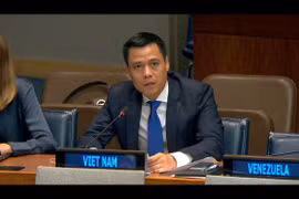 Permanent Representative of Vietnam to the United Nations (UN) Ambassador Dang Hoang Giang speaks at a discussion of the UN General Assembly’s Committee on Disarmament and International Security (Committee 1) on October 8. (Photo: VNA)