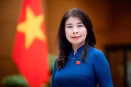 Vice Chairwoman of the National Assembly Committee for External Relations Le Thu Ha (Photo: VNA)