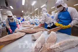 Top leader’s visit opens new door for Vietnam – Ireland trade: insiders