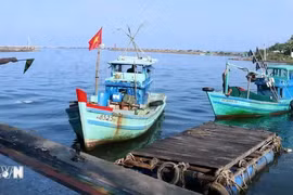 Fishing vessels are inspected when entering Duong Dong river estuary in Phu Quoc city, Kien Giang province. (Photo: VNA)