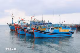 The south-central province of Binh Thuan is working to to clamp down on illegal, unreported and unregulated (IUU) fishing. (Photo: VNA)