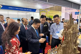 FTA Index: Enhancing opportunities and ensuring effective FTA implementation 