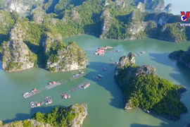 Vung Vieng fishing village captivates foreign tourists