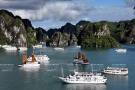 Weekly highlights: Group of 4,500 Indian visitors to travel to Vietnam