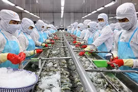 Vietnam ships nearly 2 billion USD worth of shrimp aboard during January-July. (Photo: nhandan.vn)