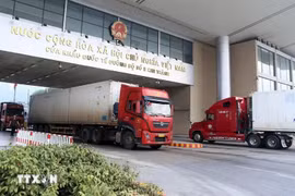 Vietnamese goods shipped to China via Kim Thanh International Border Gate No.2 (Photo: VNA)