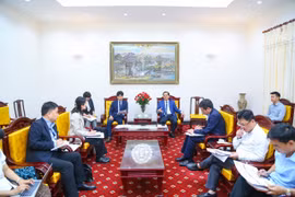 At the August 1 meeting between Deputy Minister of Labour, Invalids and Social Affairs Nguyen Ba Hoan and Deputy Chief Representative of the Japan International Cooperation Agency (JICA) in Vietnam Kubo Yoshitomo. (Photo: VNA)
