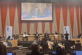 Ambassador Dang Hoang Giang, Permanent Representative of Vietnam to the UN, speaks at the UNDP Executive Board's dialogue with member states on actions to accelerate the adoption of sustainable energy for development, held in New York on August 27. (Photo: VNA)