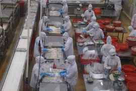 Nearly 90% of Vietnamese businesses are interested in venturing overseas (Photo: VietnamPlus)