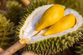 Second durian festival to honour growers, promote sustainable development