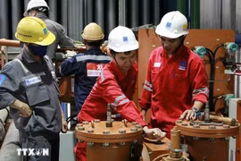 A team of engineers is inspecting and maintaining equipment at the Nhon Trach 2 power plant. (Photo: VNA) 