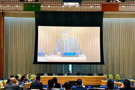 Ambassador Dang Hoang Giang speaking at UN General Assembly High-Level Forum on a Culture of Peace (Photo: VNA)
