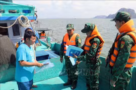 Border guard officers examine fishing vessels' operation. (Photo: VNA)