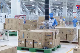11-month FDI disbursement hits record high