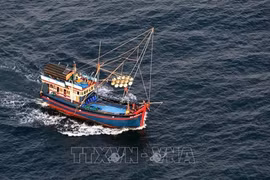 Localities urged to take drastic measures against IUU fishing