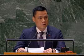 Vietnam calls for end to acts of violence, avoiding casualties for civilians in Gaza Strip
