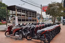 Honda Vietnam sees sharp falls in bike, car sales