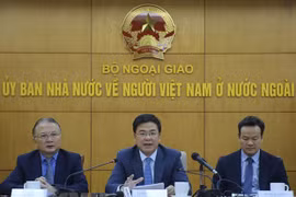 Resources of Vietnamese at home and abroad propel nation forward