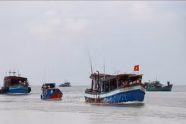 Ninh Thuan applies urgent measures to prevent IUU fishing