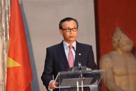 Vietnam, Denmark witness practical effective development: Ambassador