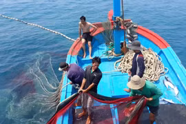 Deputy PM orders greater efforts in IUU fishing fight