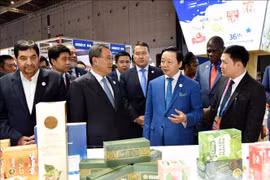 Vietnam attends 2023 China International Import Expo