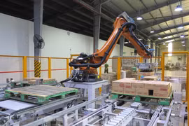 Binh Duong draws strong domestic investment inflows