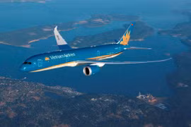Vietnam Airlines plane makes emergency landing to save French passenger