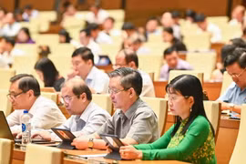 Deputies emphasise need to prevent false information on goods, services