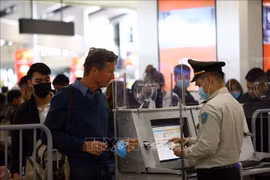 Vietnam Airlines Group serves 2.4 million passengers during Tet holiday