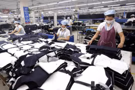 Promotion activities needed to boost Vietnam-Austria trade ties: official