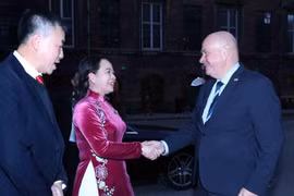 Vice President meets with Speaker of Danish Parliament