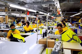 Labour market bounces back