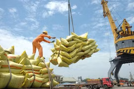 Vietnam remains biggest rice provider of Philippines