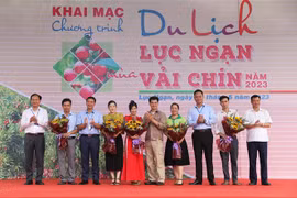 Bac Giang kick starts tourism promotion programme in lychee harvest season