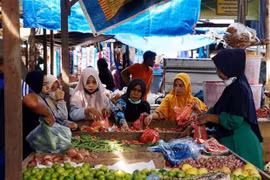 Indonesia to spend nearly 32 billion USD on post-pandemic social protection