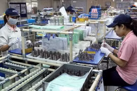 Measures needed to sustain FDI growth trend: expert