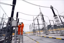 EVN's losses mainly attributed to high input prices