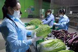 Hanoi promotes agricultural product exports