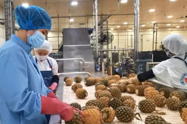 Austria a promising market for Vietnamese fruits: Experts