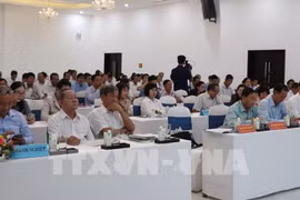 Ample opportunity for Ben Tre to improve coconut value chain