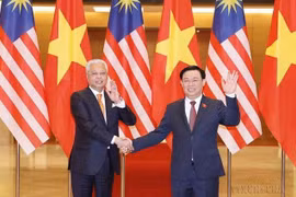Vietnam-Malaysia ties expand across all pillars over 50 years: Diplomat