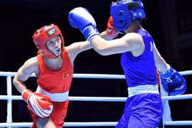 Female boxer's world champion title dream doesn't come true