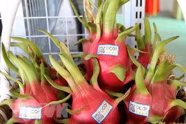 Vietnam's farm produce, processed food introduced in India