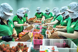 Vietnam, China seek to boost agro-aquatic product trade