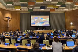 Vietnam supports expansion of UN Security Council
